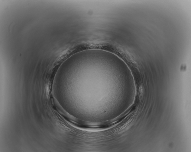 X0000094371300200711091528