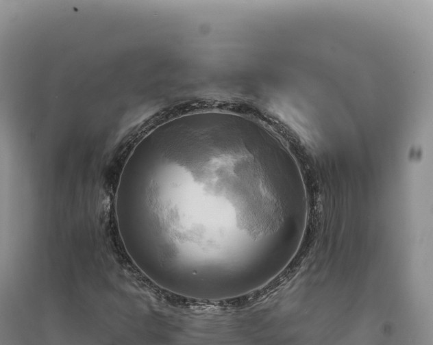 X0000094371302200711091528