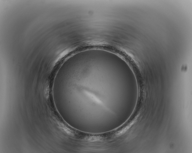 X0000094371306200711091528