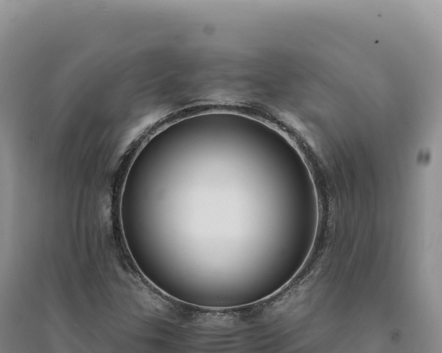 X0000094371307200711091528