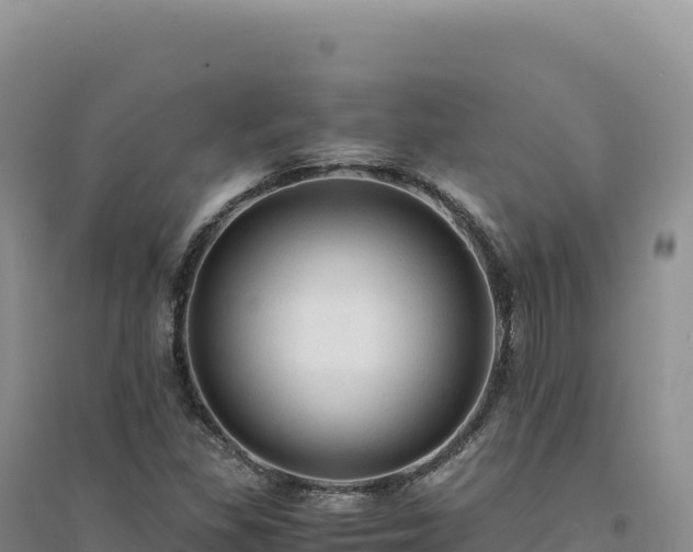 X0000094371309200711091528
