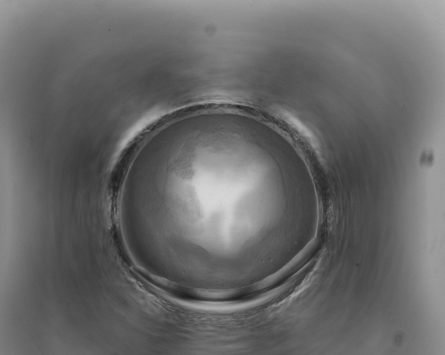 X0000094371310200711091528