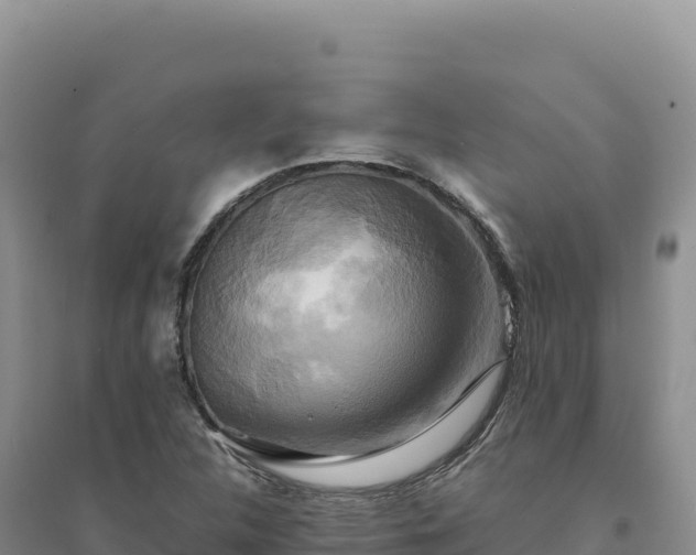 X0000094371312200711091528