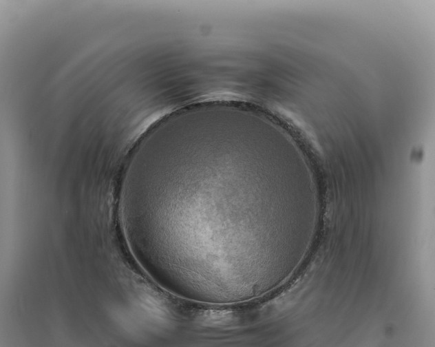 X0000094371313200711091528