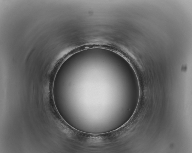 X0000094371315200711091528