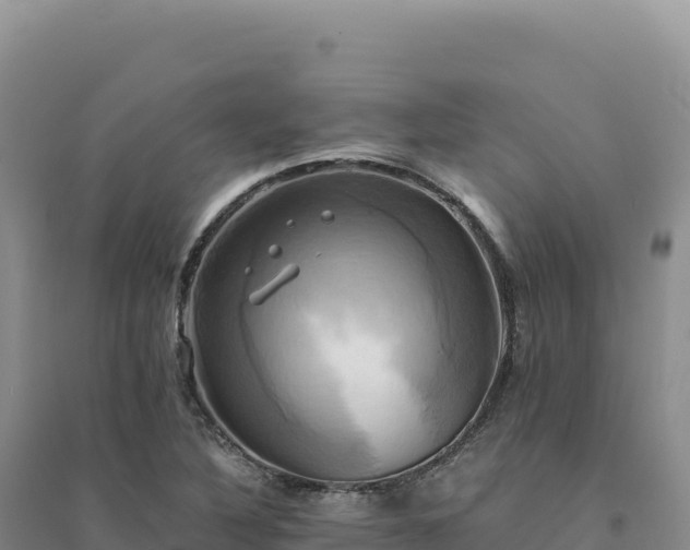 X0000094371316200711091529