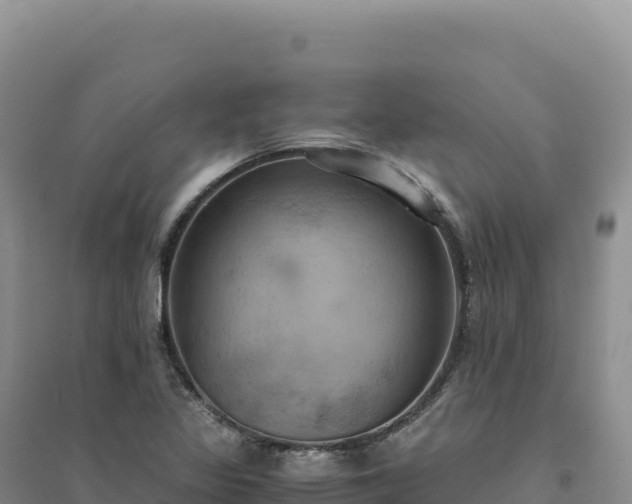 X0000094371317200711091529