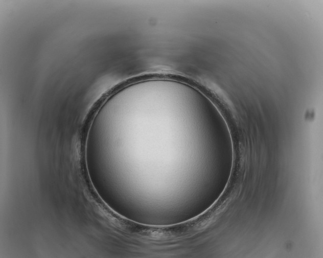 X0000094371318200711091529