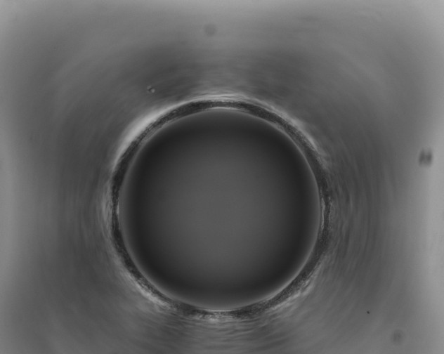 X0000094371319200711091529