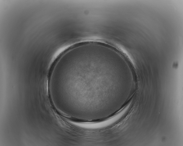 X0000094371320200711091529