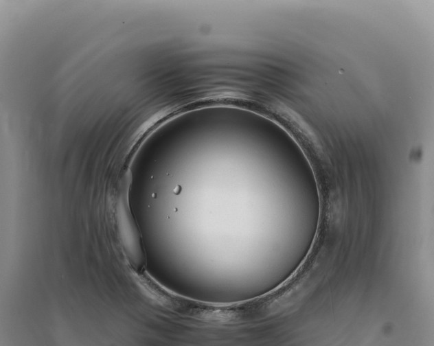 X0000094371321200711091529