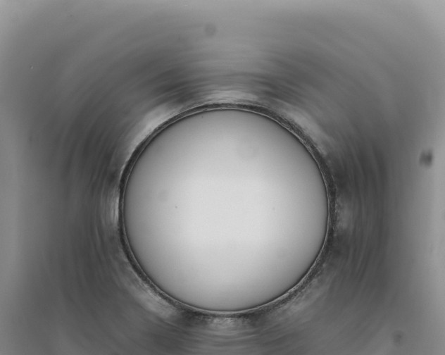 X0000094371322200711091529