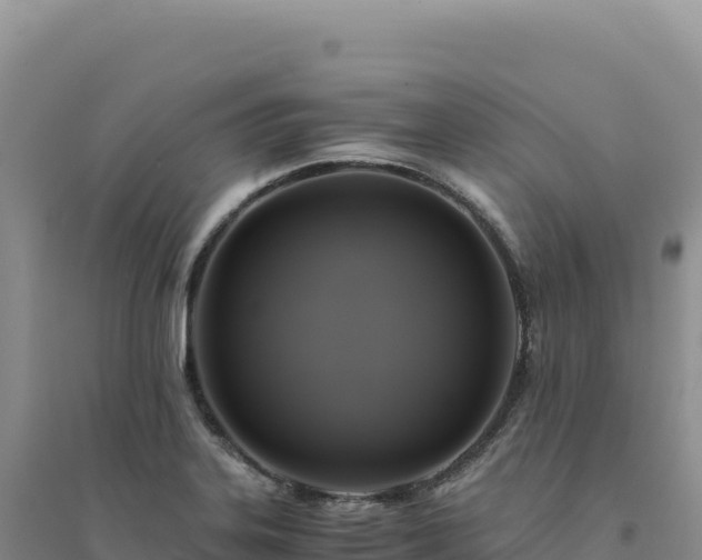 X0000094371323200711091529