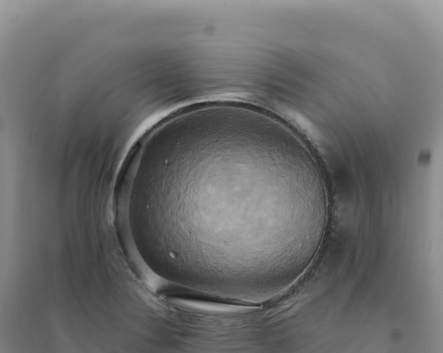X0000094371324200711091529