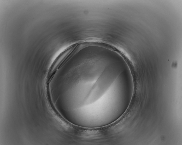 X0000094371325200711091529