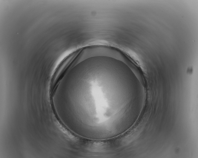 X0000094371326200711091529
