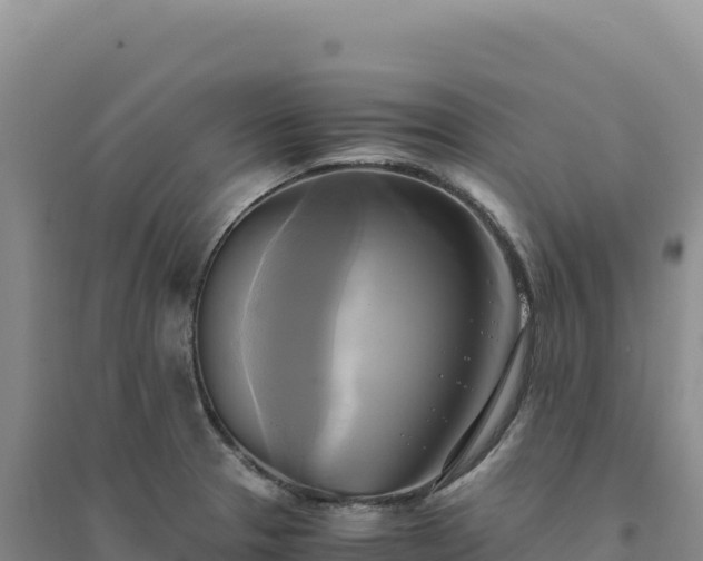 X0000094371329200711091529