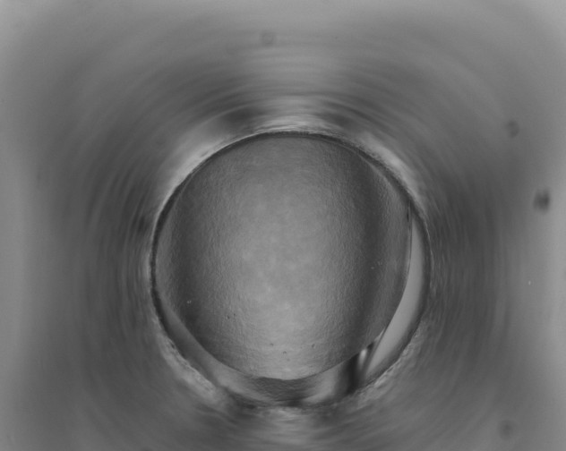 X0000094371330200711091529