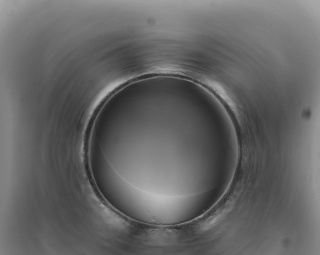 X0000094371331200711091529