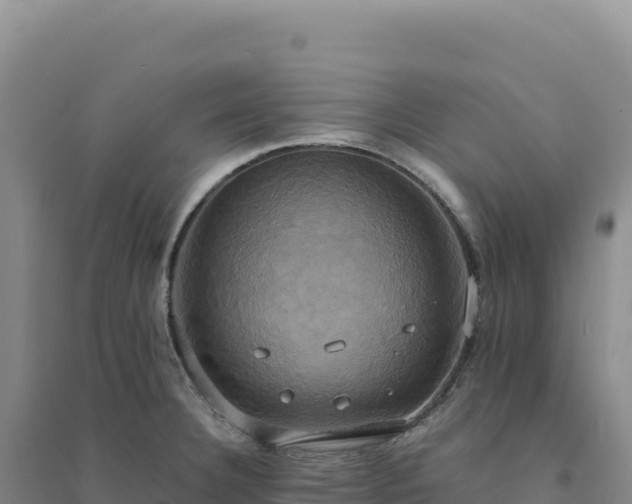 X0000094371332200711091529