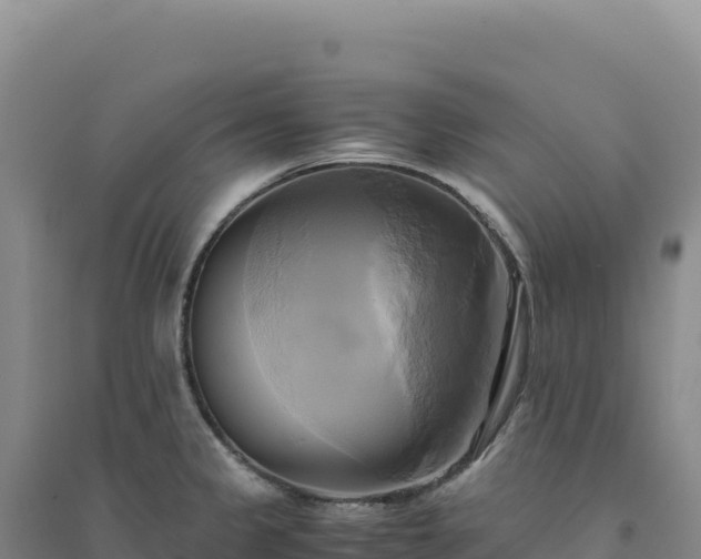 X0000094371333200711091529