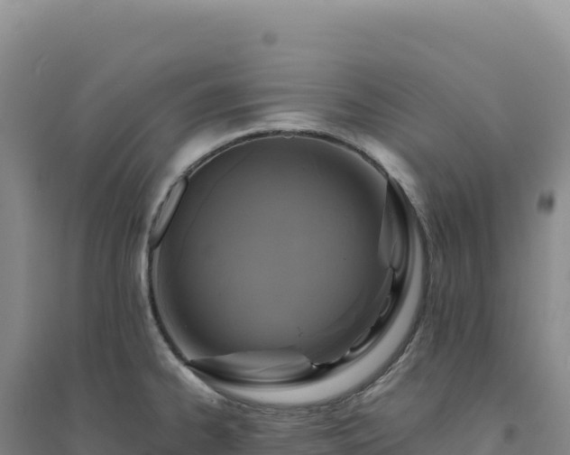 X0000094371334200711091529