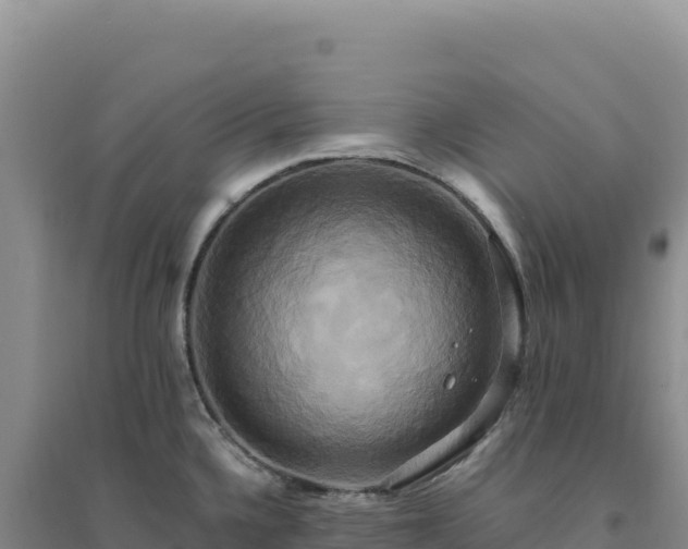 X0000094371336200711091529