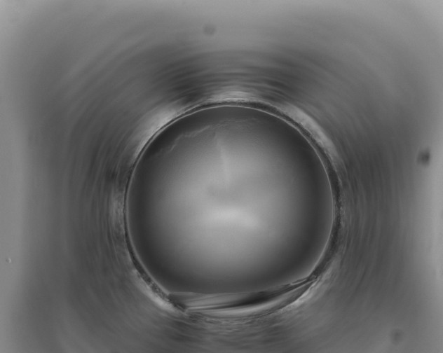 X0000094371337200711091529