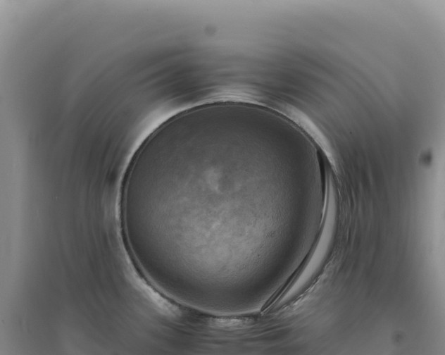 X0000094371339200711091529
