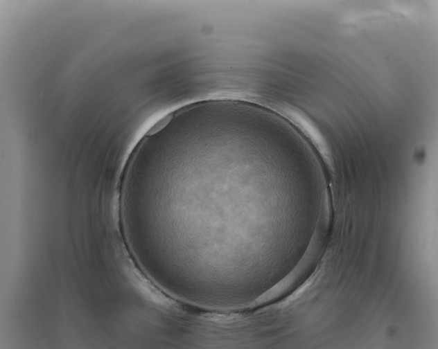 X0000094371340200711091529