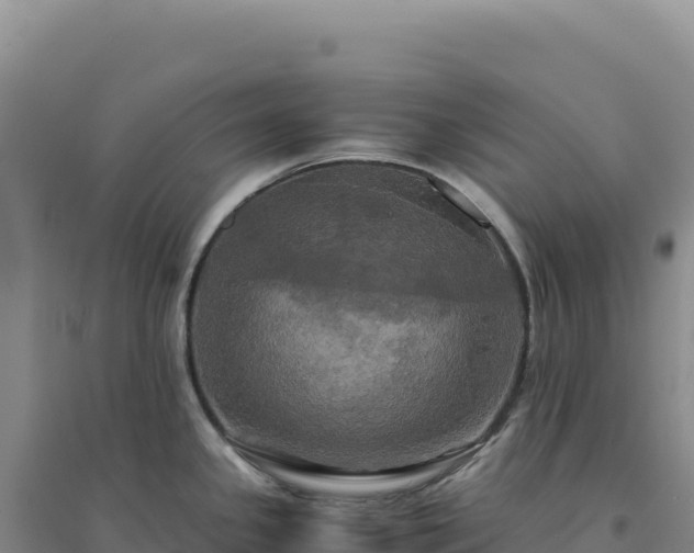 X0000094371341200711091529