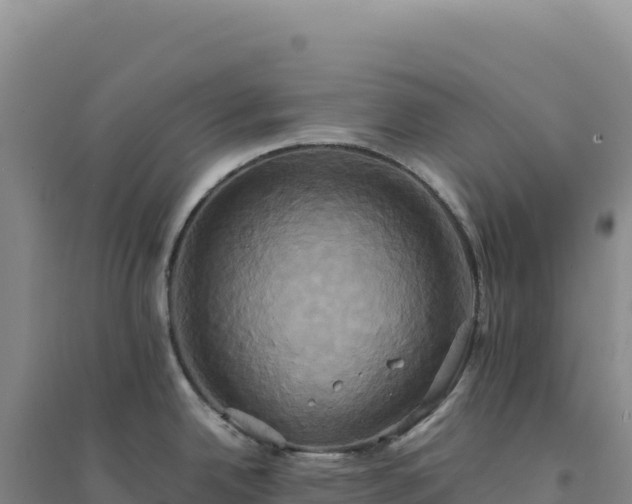 X0000094371342200711091529