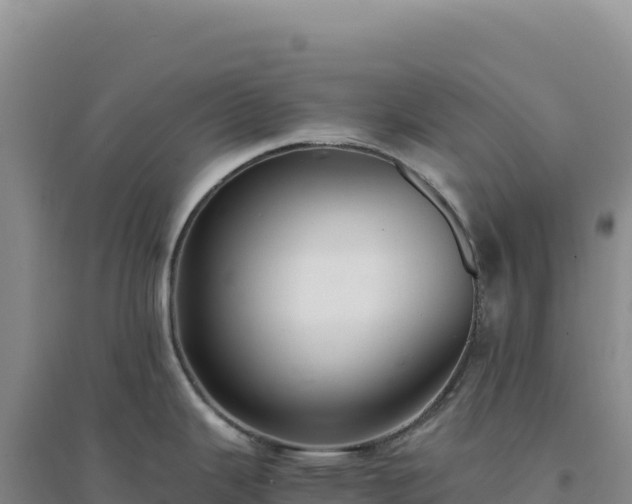 X0000094371343200711091529