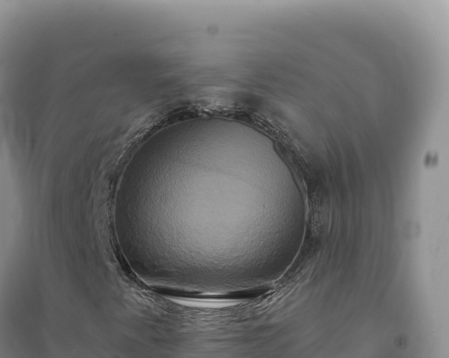 X0000094371345200711091528