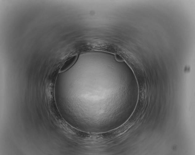 X0000094371346200711091528