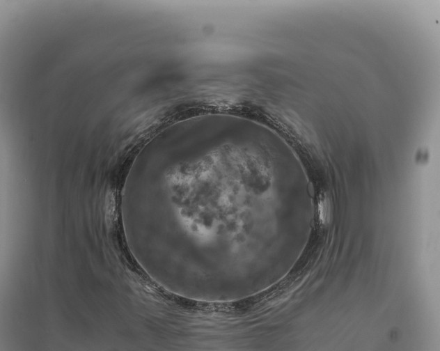 X0000094371347200711091528