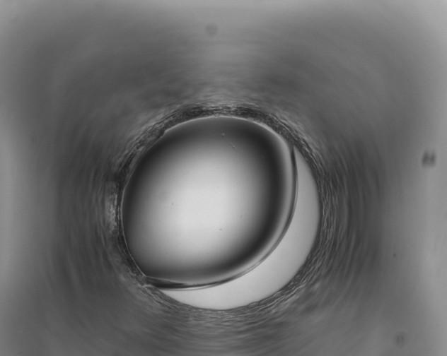X0000094371348200711091528