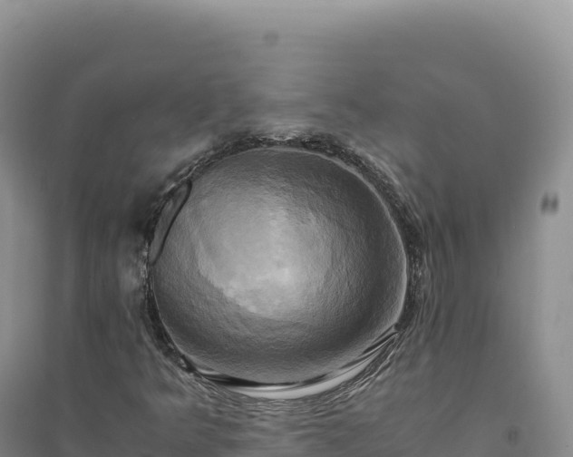 X0000094371349200711091528