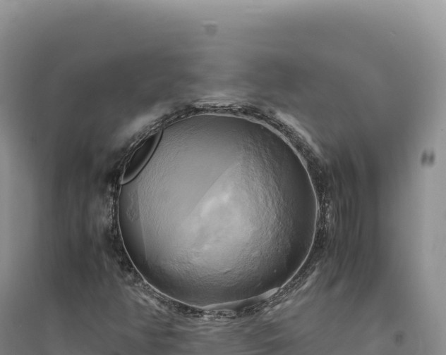 X0000094371350200711091528