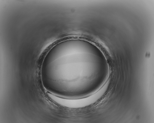 X0000094371352200711091528