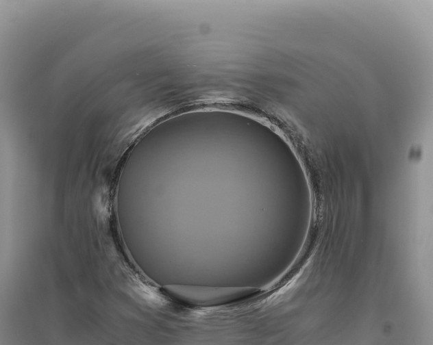 X0000094371353200711091528