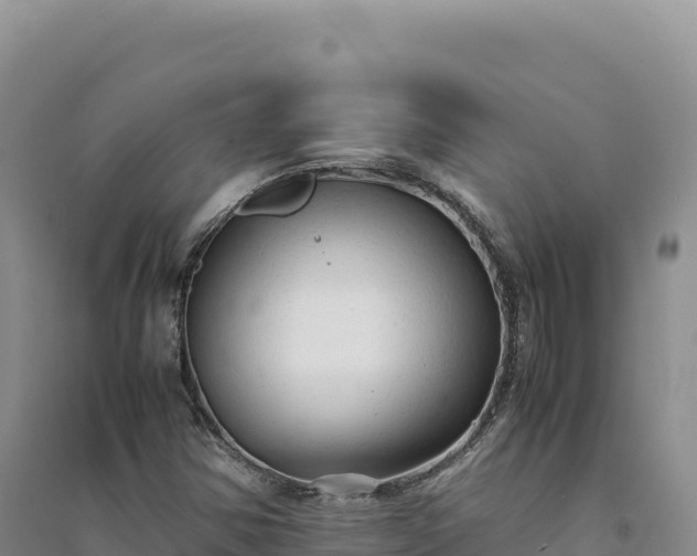X0000094371354200711091528