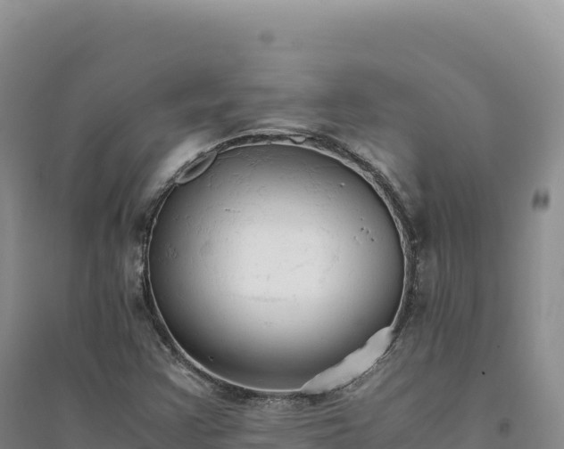 X0000094371355200711091528