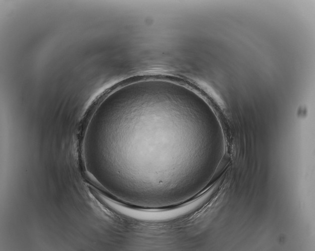 X0000094371356200711091528