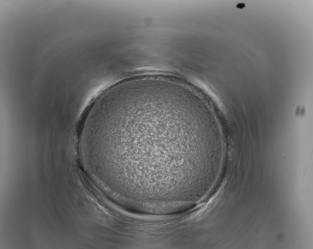 X0000094371357200711091528