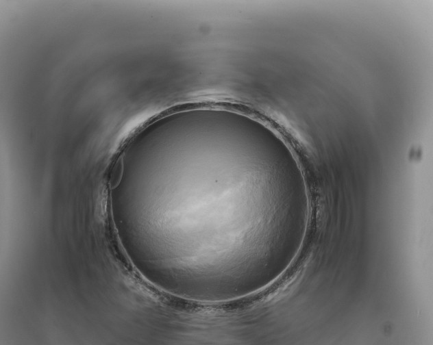 X0000094371358200711091528