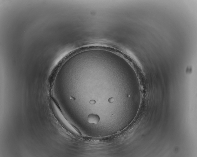 X0000094371360200711091528