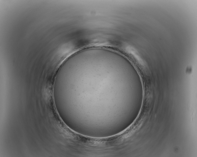 X0000094371361200711091528