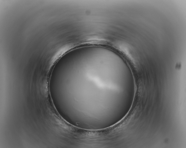 X0000094371362200711091528