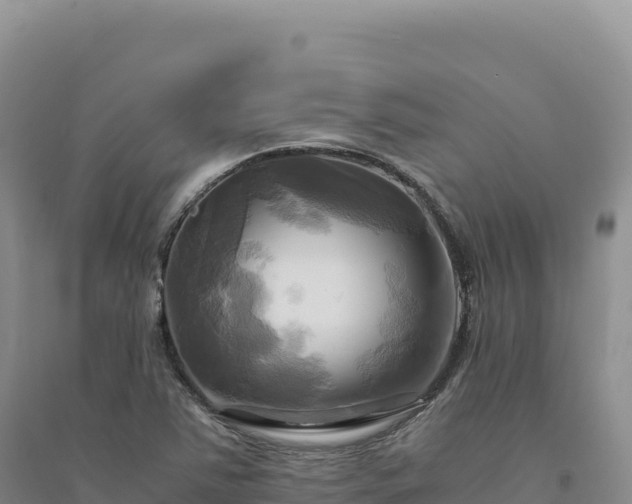 X0000094371363200711091528